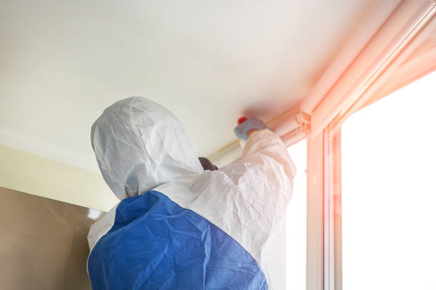 Trusted Linganore, MD Mold Removal Services Experts